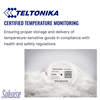 Teltonika EYE Sensor