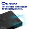 GH5200 Teltonika 2G ID-Card Case Tracker