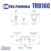 Teltonika 4G/LTE Cat6 IoT Gateway